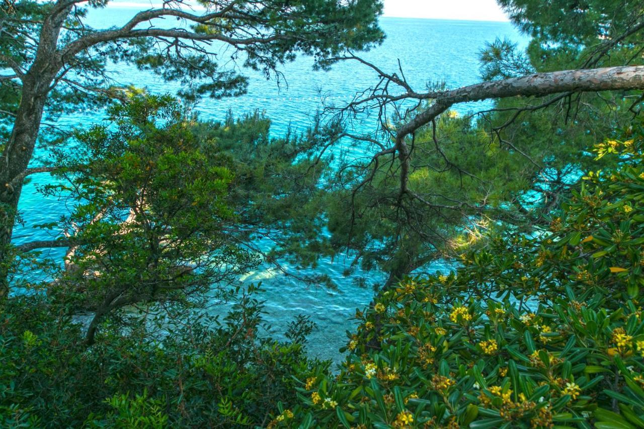 Apartments By The Sea Brela, Makarska - 16950 Kültér fotó